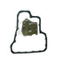 1 X Wesfil Transmission Filter Kit Wctk24