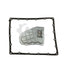 1 X Wesfil Transmission Filter Kit Wctk278
