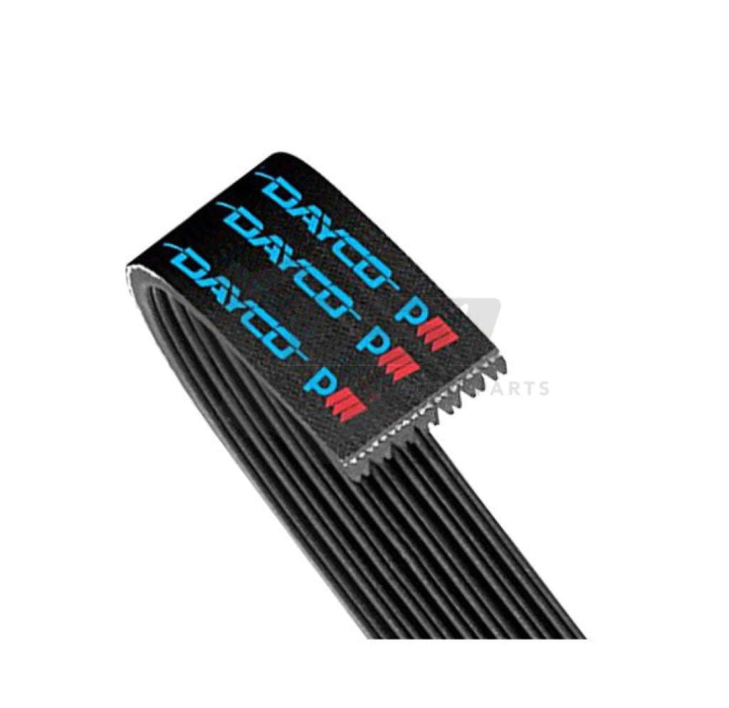 1X Dayco Poly Rib Belt 4Pk0815 Belt