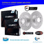 Bendix Euro + Front Disc Brake Rotors for BMW X3 F25 X4 F26 xDrive20 28 30 35 Brake Disc Rotors