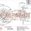 Fremax Rear Disc Rotors For Renault Scenic Ja 1.6 01-02 Not Rxe Model Brake